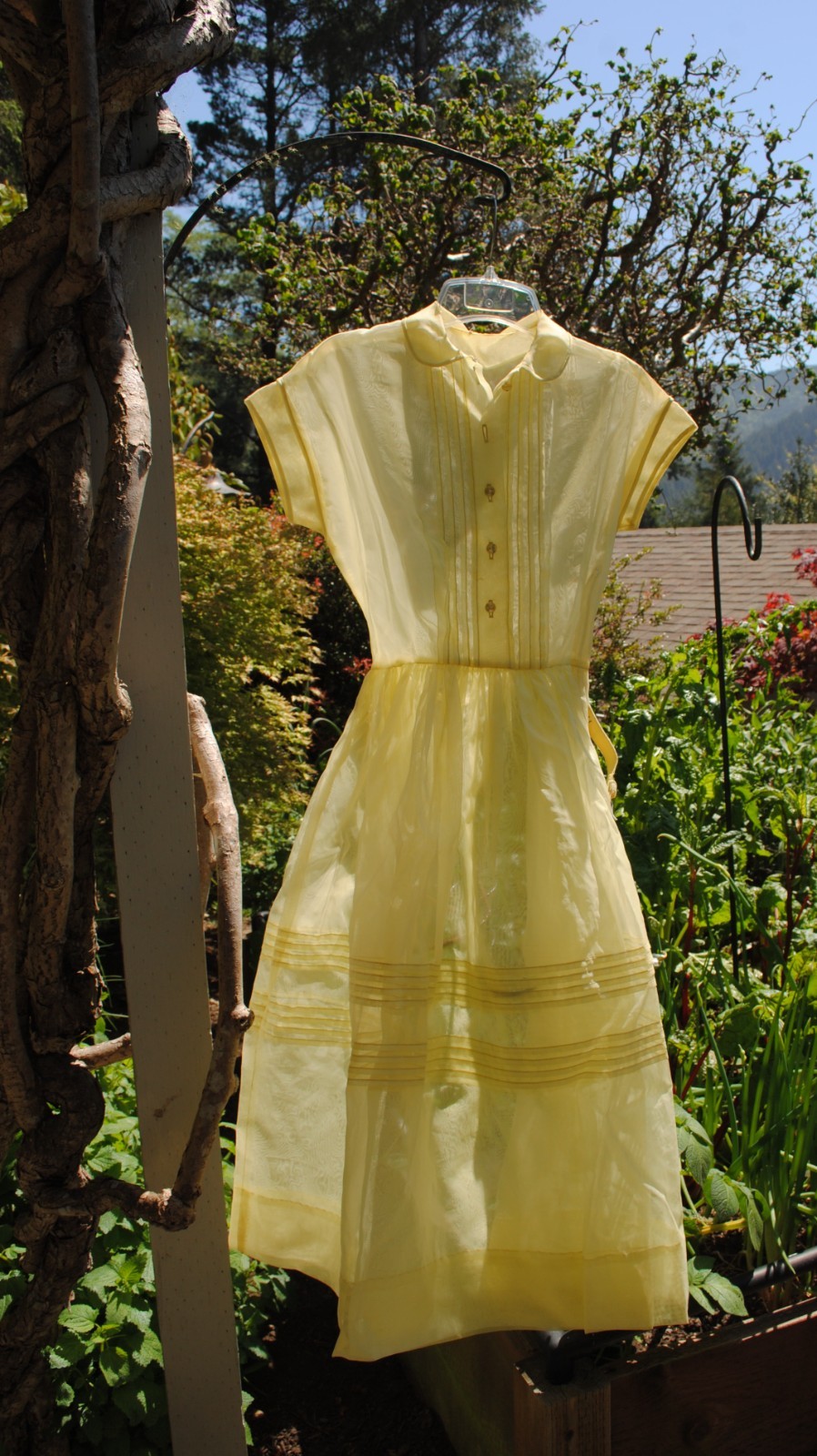 Vtg Mid Century 1950&rsquo;s Organza Sheer Midi Dress Belt Yellow June Cleaver