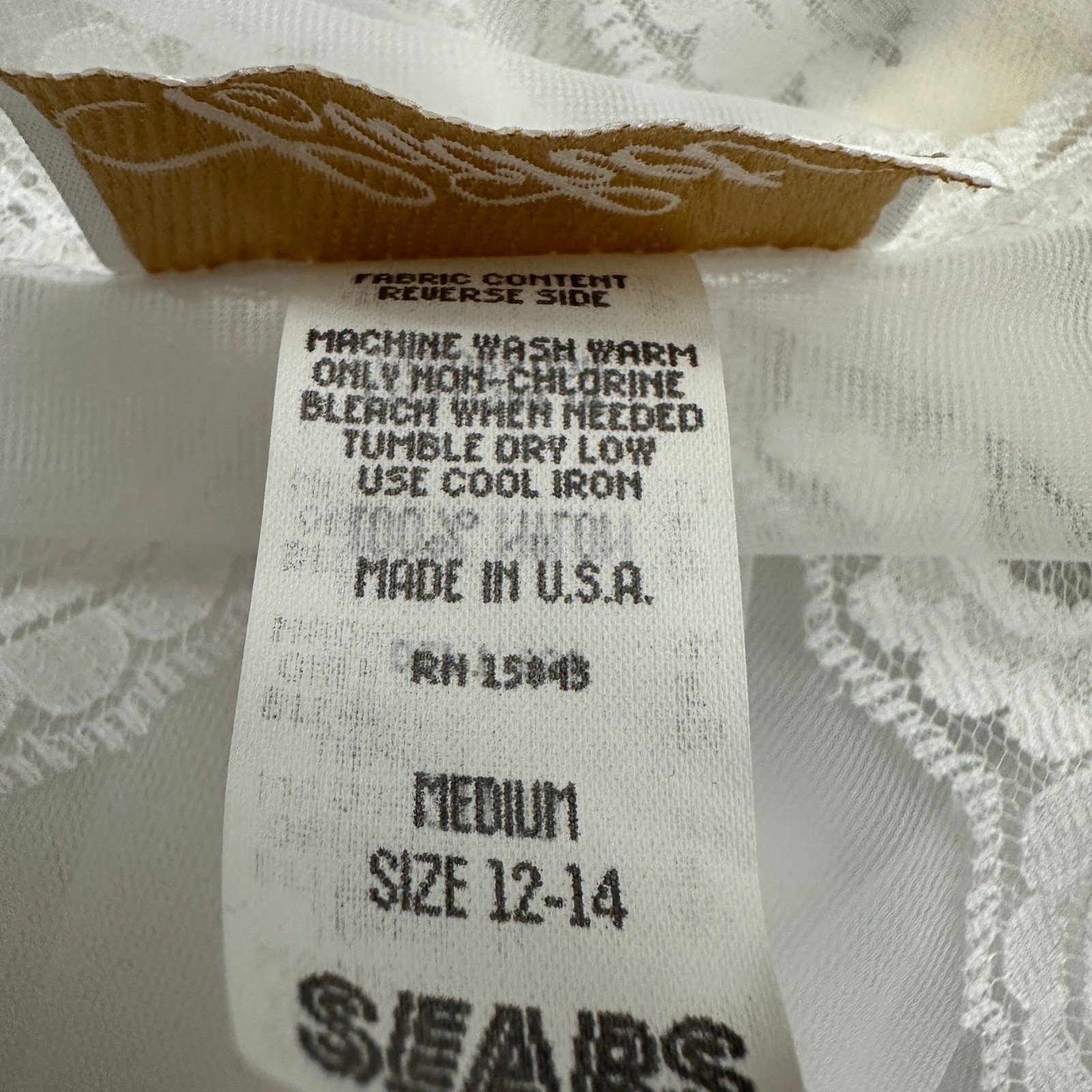 Vintage Sears Cachet Coquette Sheer Peignoir Robe Size M Victorian Regency Fairy