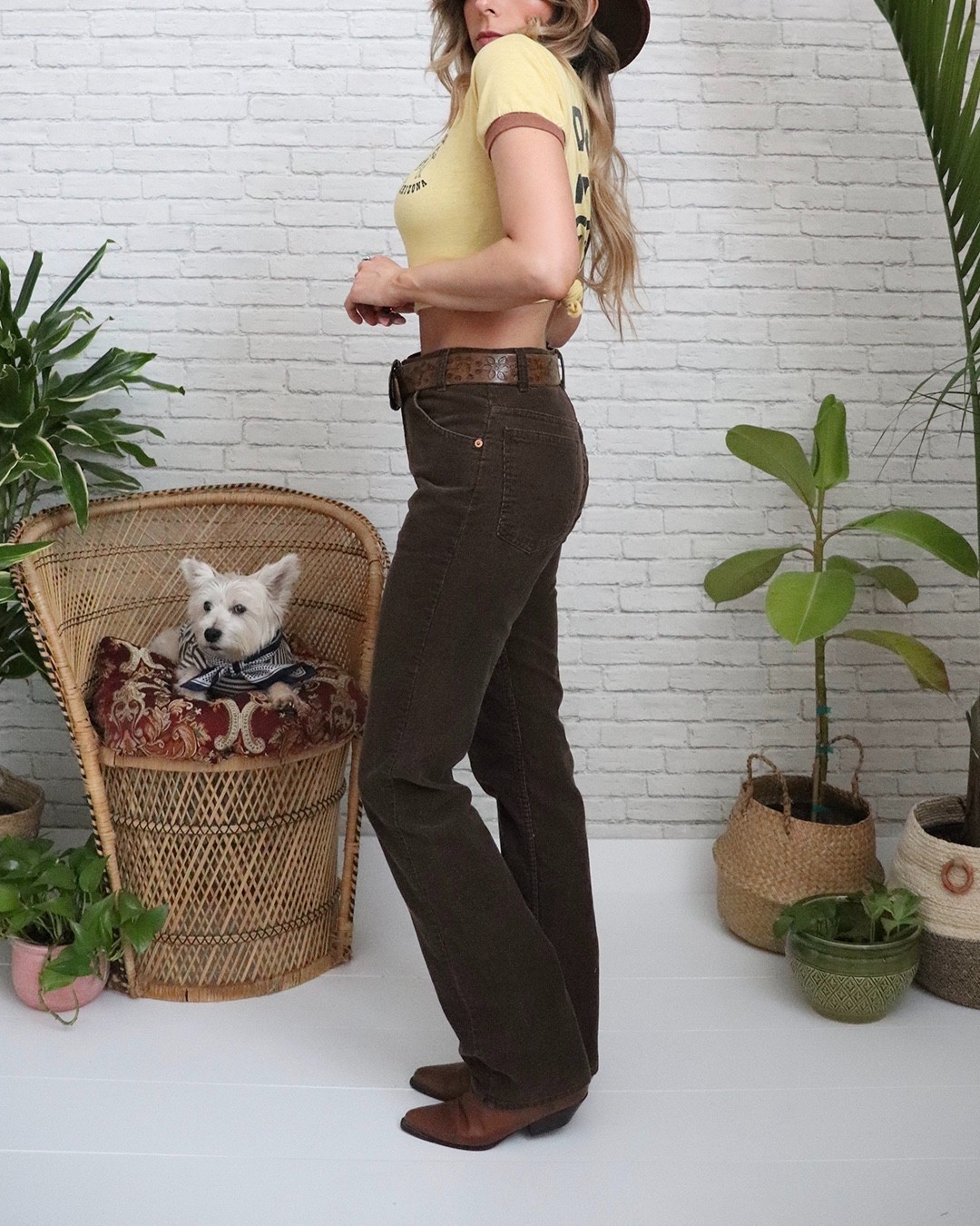 70s Brown Levi s Corduroys | 29 Waist x 33 Length | Vintage Deadstock Pants