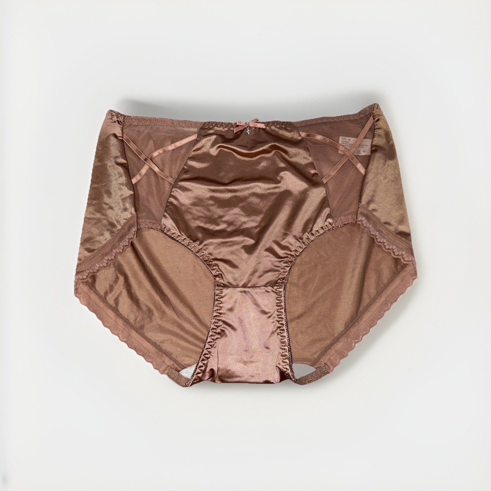 ~Panties Champagne Rose Nylon Blended Lace Cotton Gusset New Shiny Soft XL