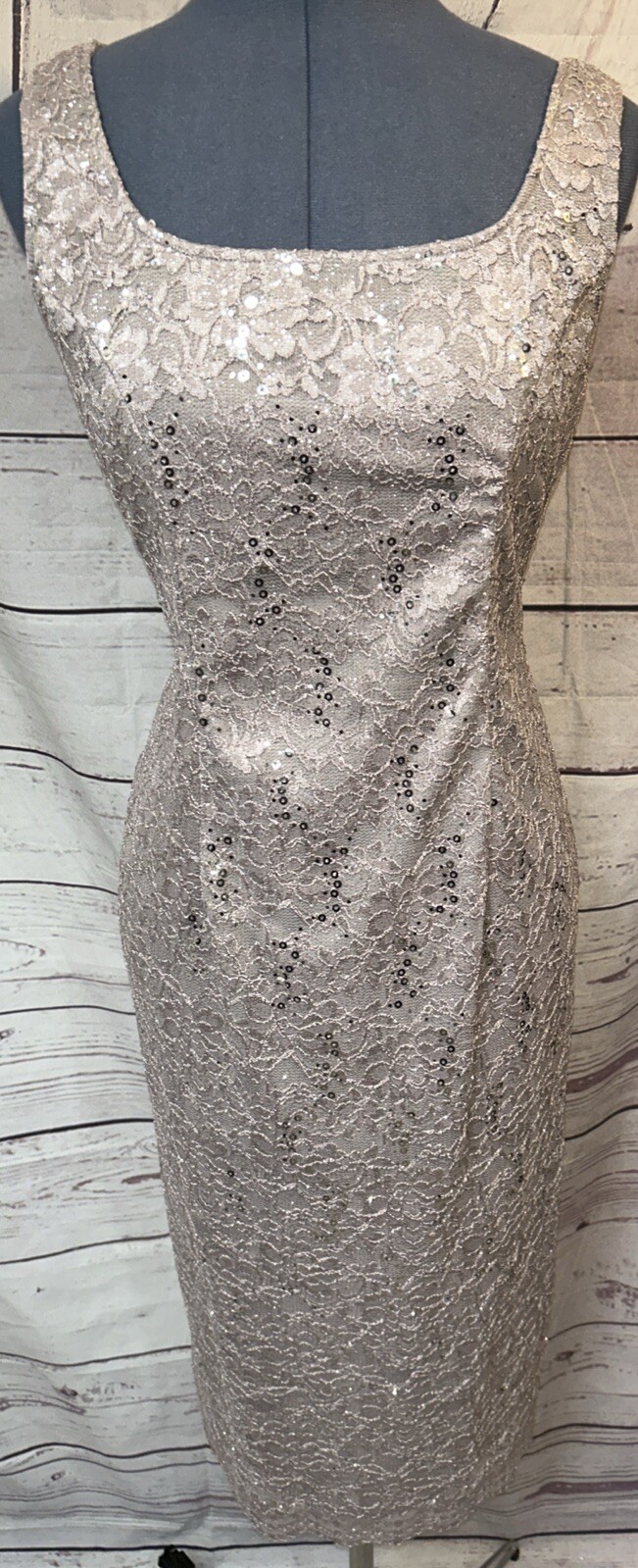 Alex Evenings 2-Piece Evening Sequin/Lace Dress Sliver Size 10