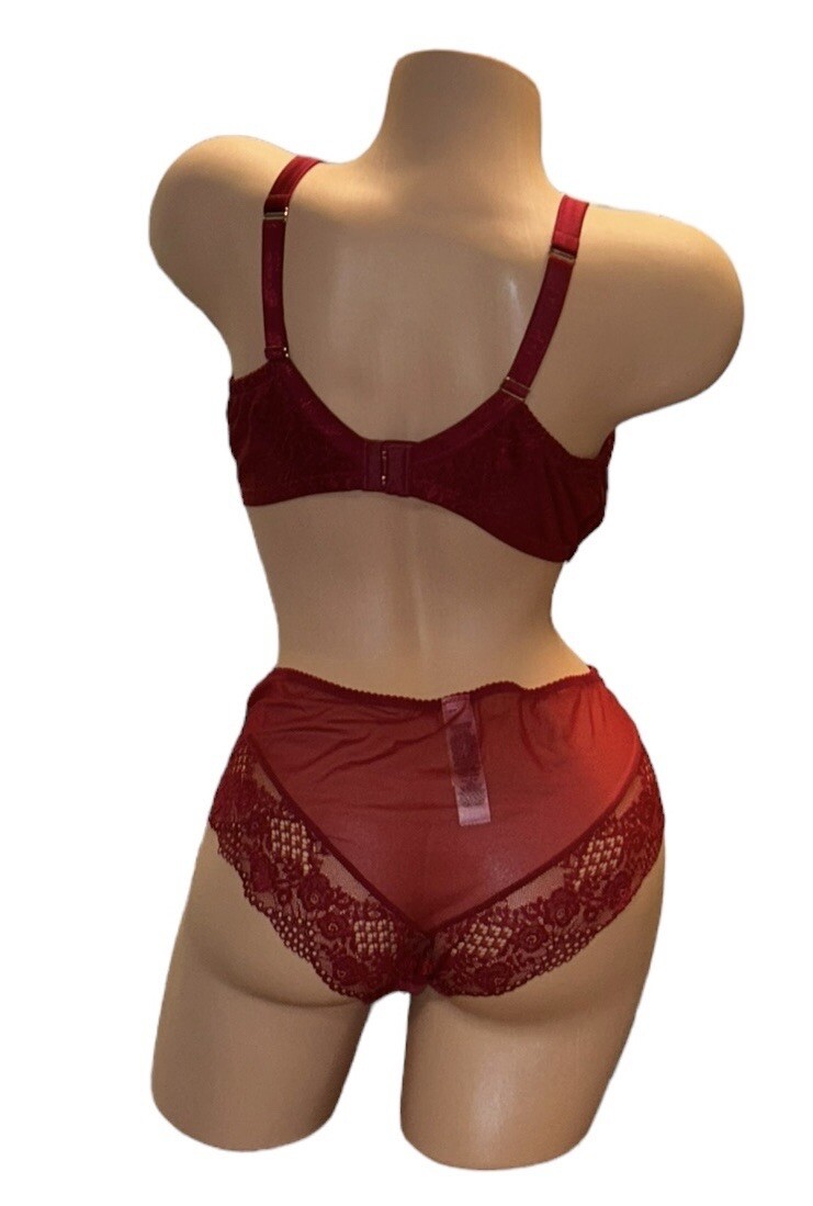 2PC AUTOGRAPH Deep Red Shiny Silky Sheer Satin Lace Panties & Bra 38DD NWOT