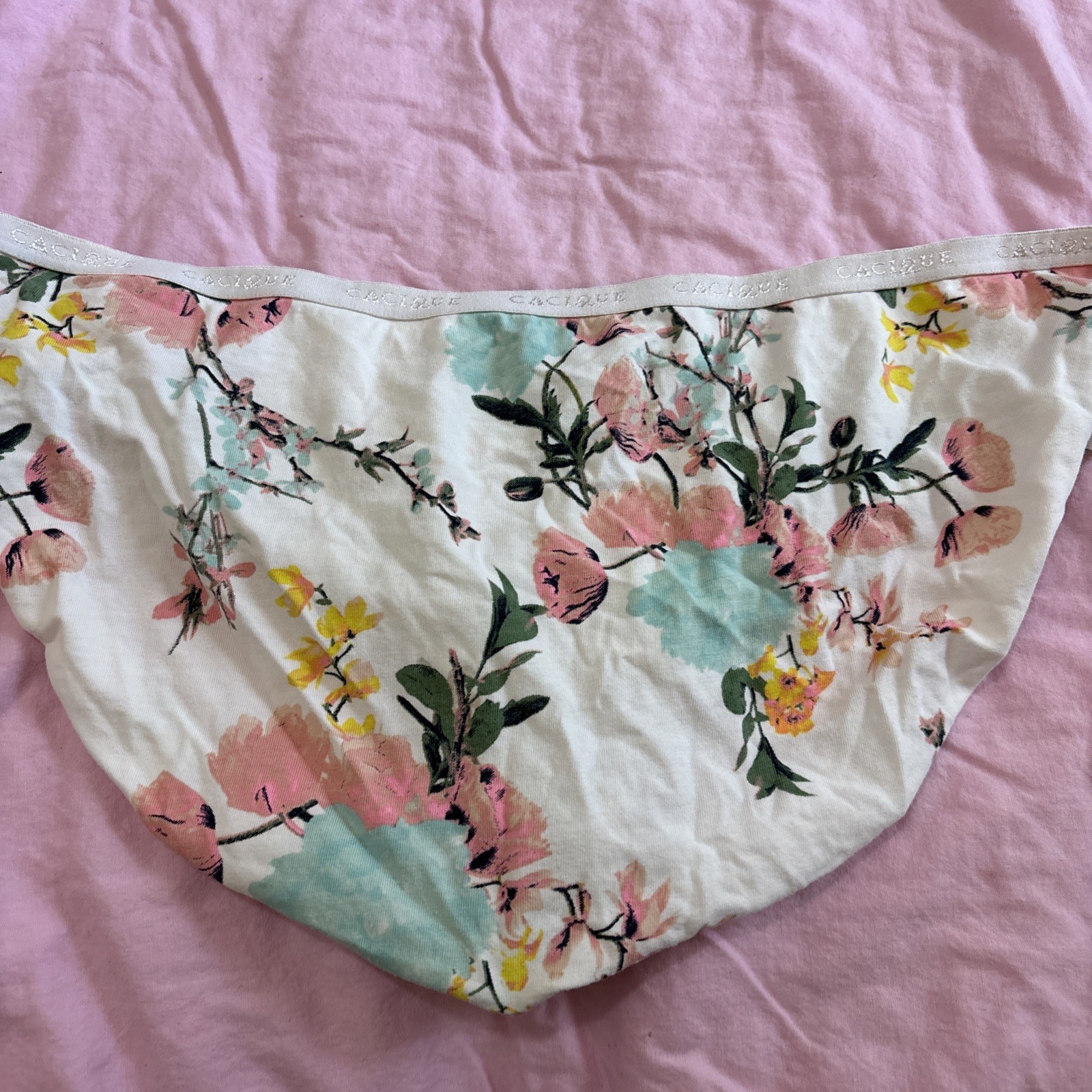 Vintage CACIQUE Pantis #009