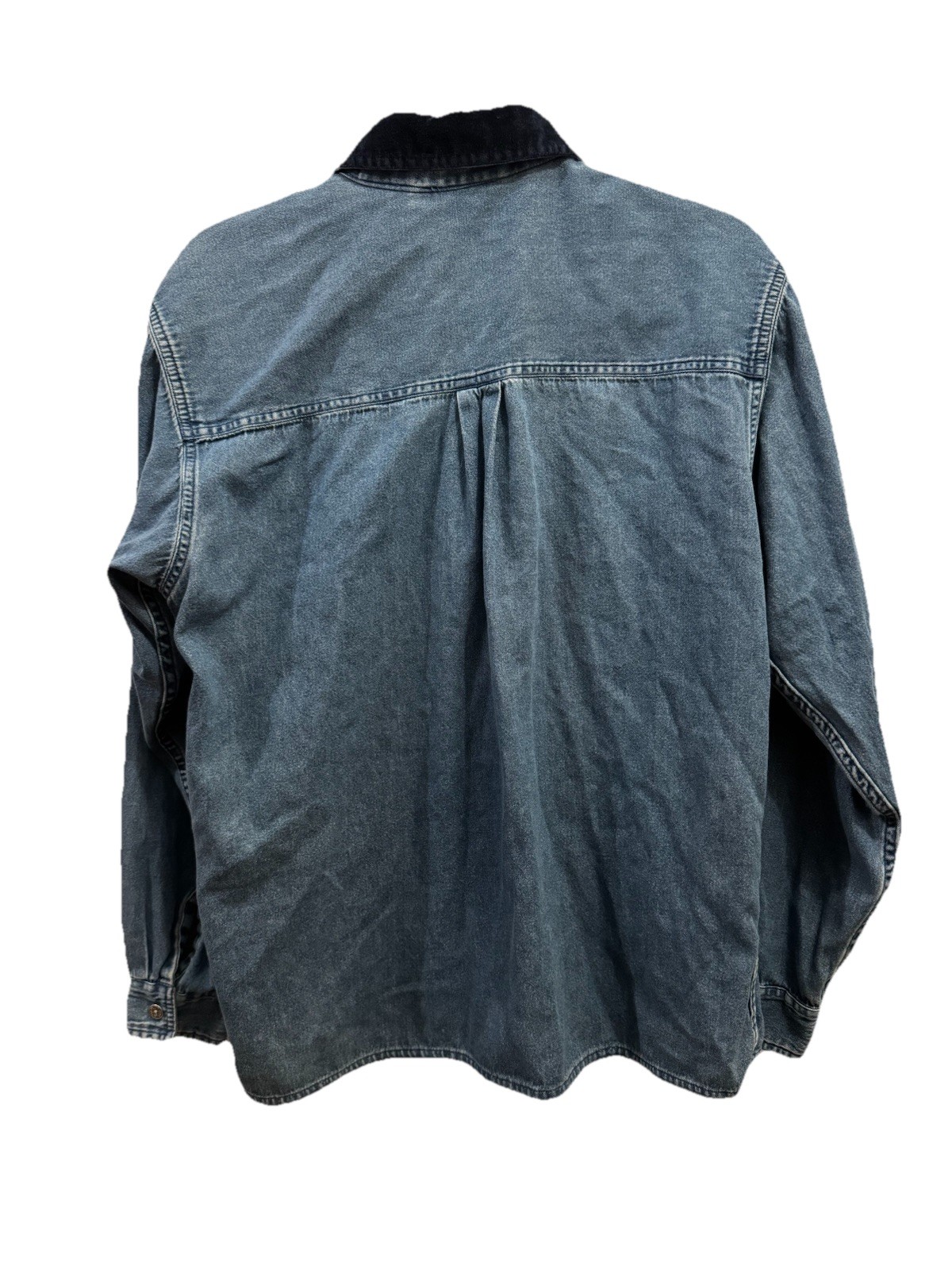 Vintage Oak Hill Denim Button-Down whimsical with Embroidered fairy print – Blue