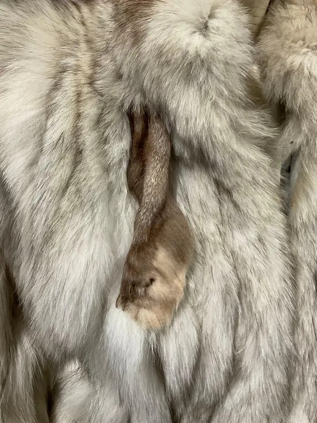 Vintage Saga Fox Fur Jacket, Silver tone Fur, 32h x 17w inches, size D40 F42