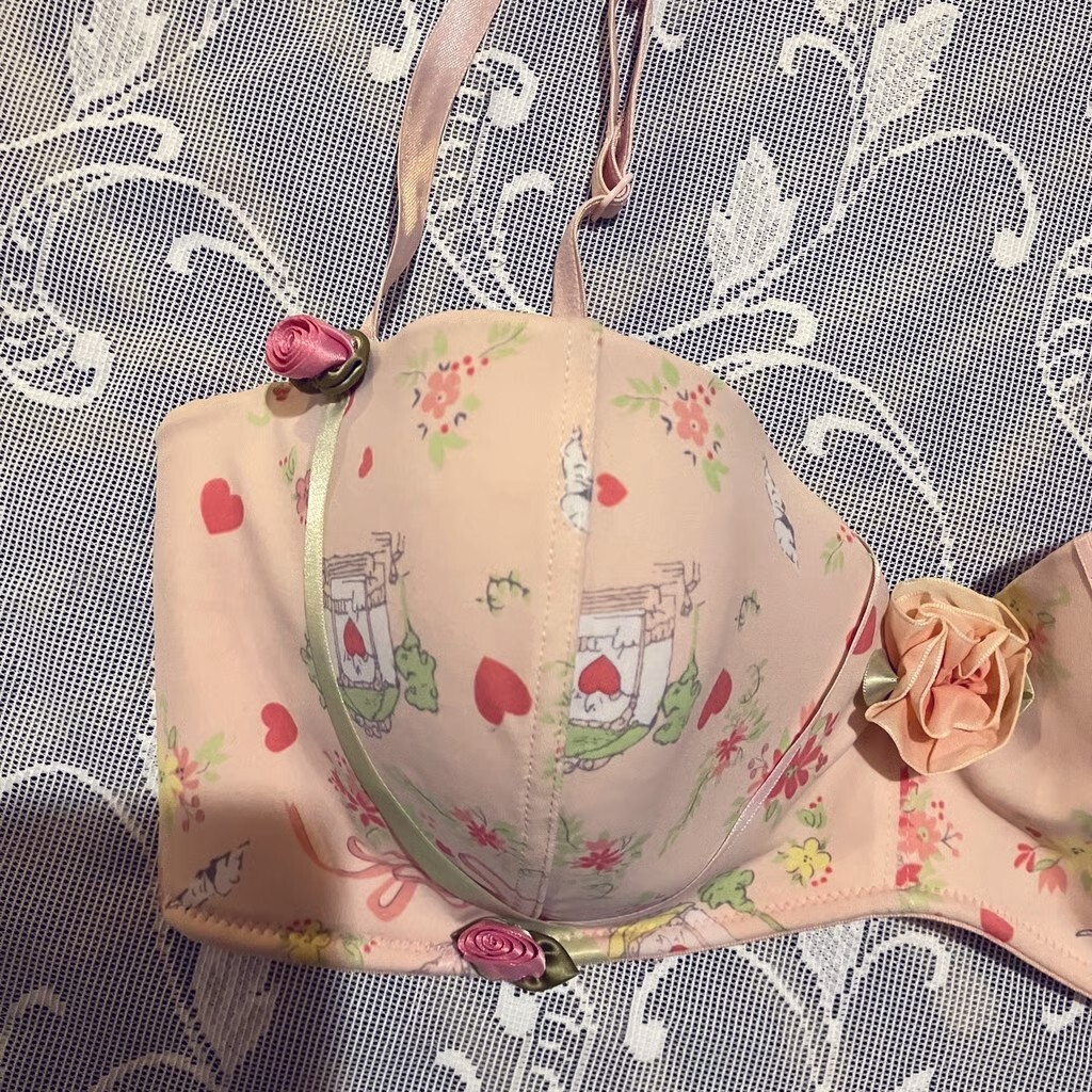 Hillard & Hanson 38D Intimates Coquette Romantic Feminine Rosette Balconette Bra