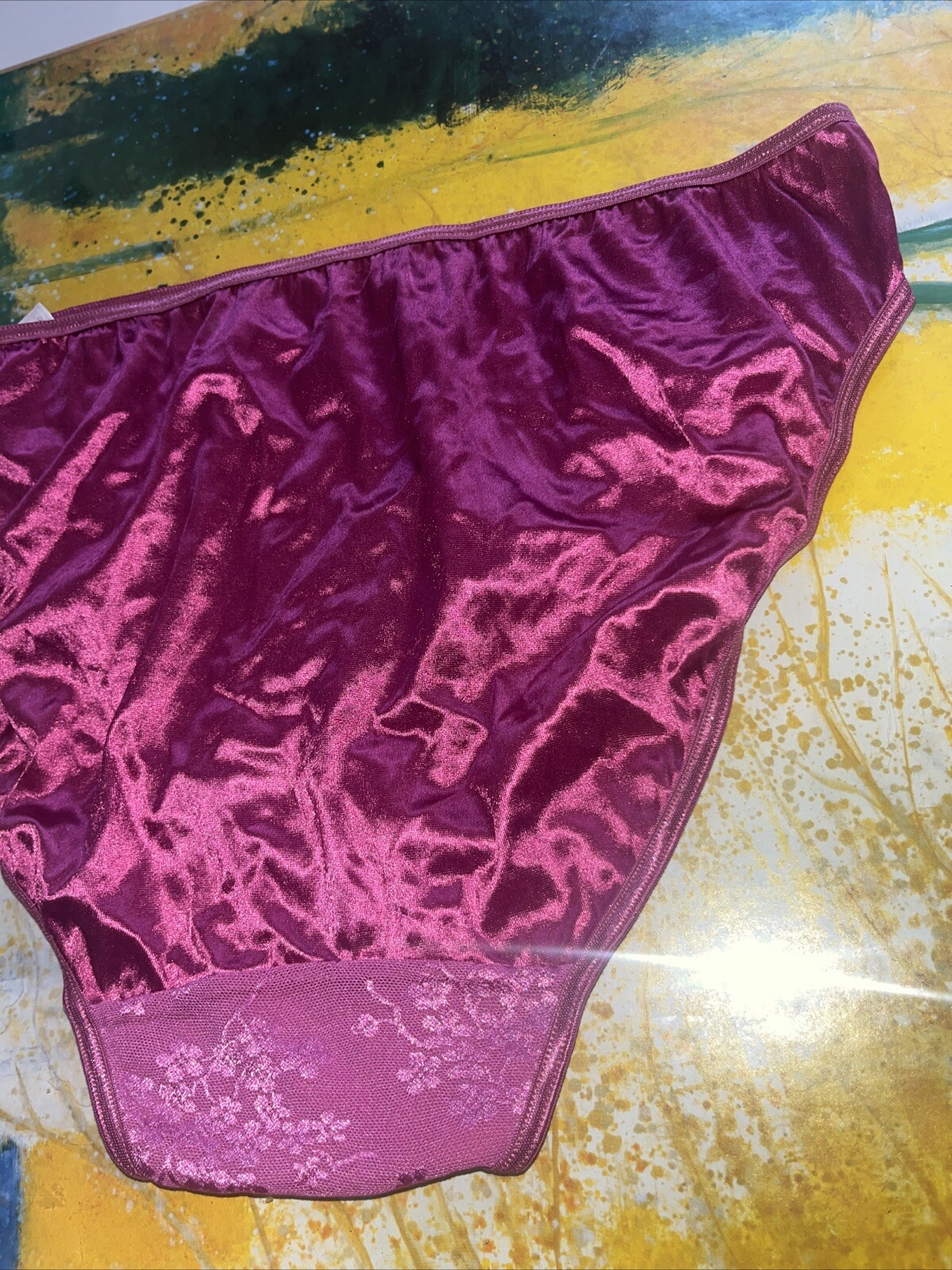 Vintage Lane Bryant Cacique 14/16 Second Skin High Leg Satin Lace Front Panty