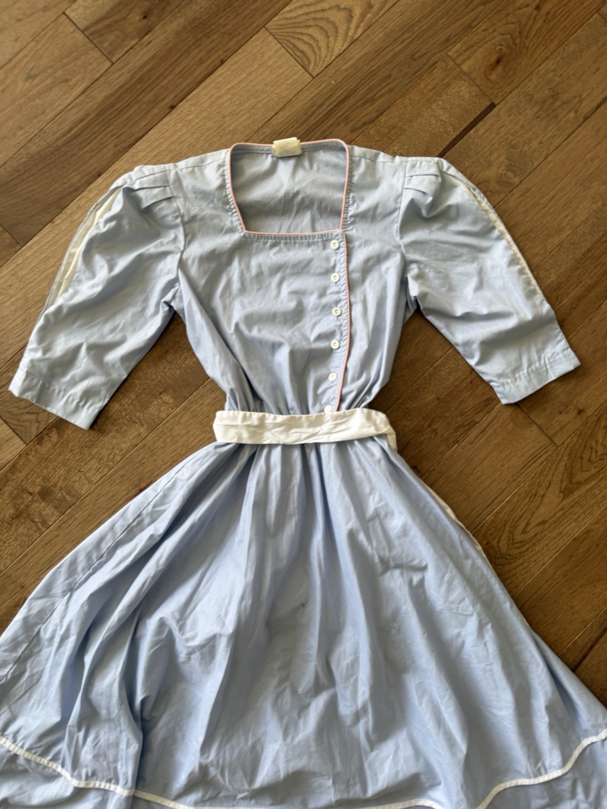 Vintage Cottagecore Dress Trad Wife Swing Dress Powder Blue Pink Trim 1950s