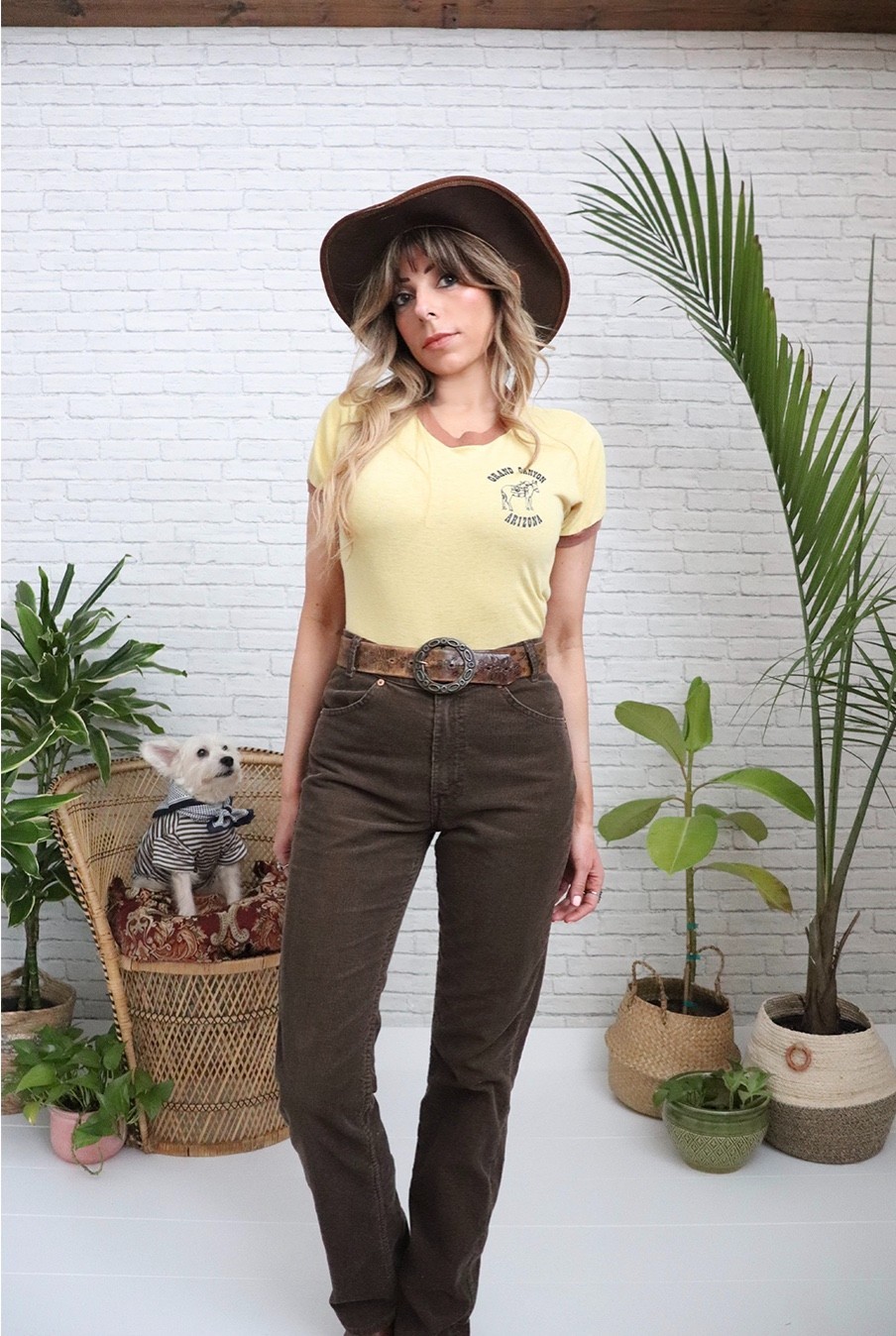 70s Brown Levi s Corduroys | 29 Waist x 33 Length | Vintage Deadstock Pants