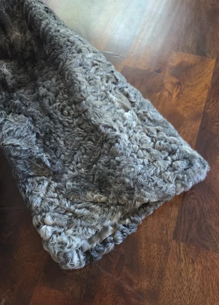Vintage 1950s Scuby Furs Victoria BC Gray Persian Lamb Coat Cream Mink Shawl 45&Prime;