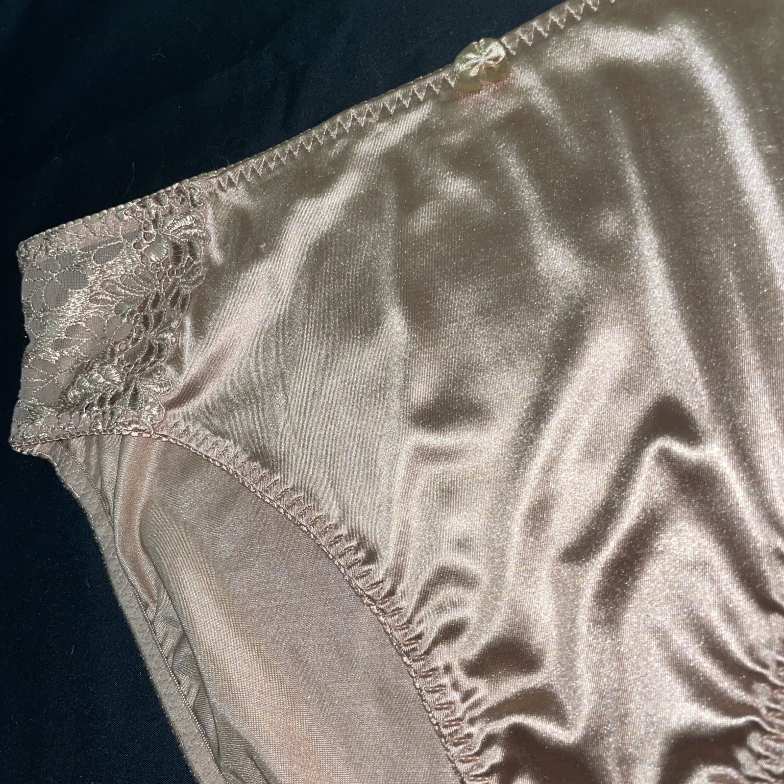 Delta Burke Panties Plus 10/3X Copper Glossy Satin Second Skin VTG hi-cut Sissy
