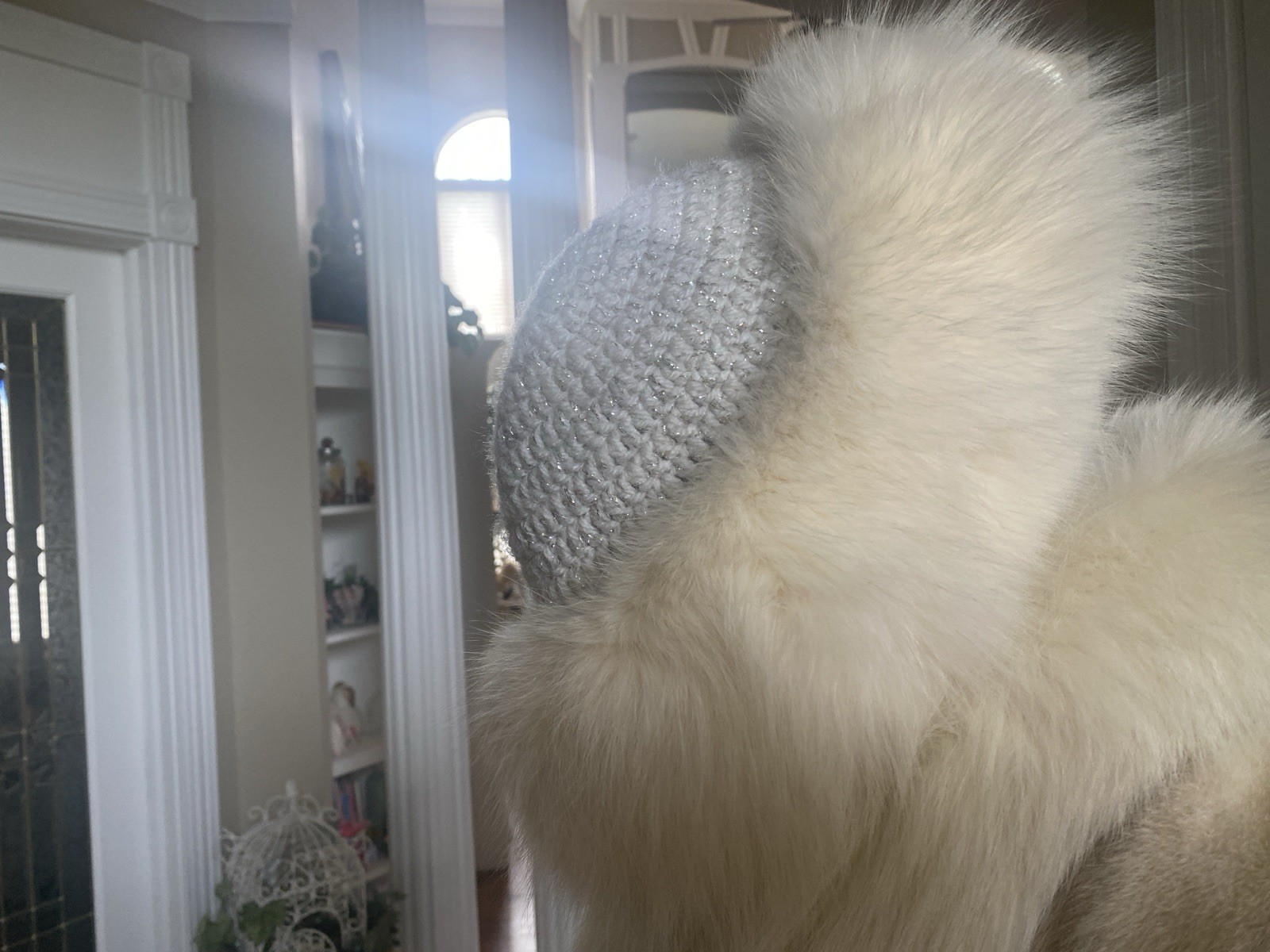 Winter White Full Length Female Mink Coat/Fox Tux Front And Sleeves /W Mink Hat