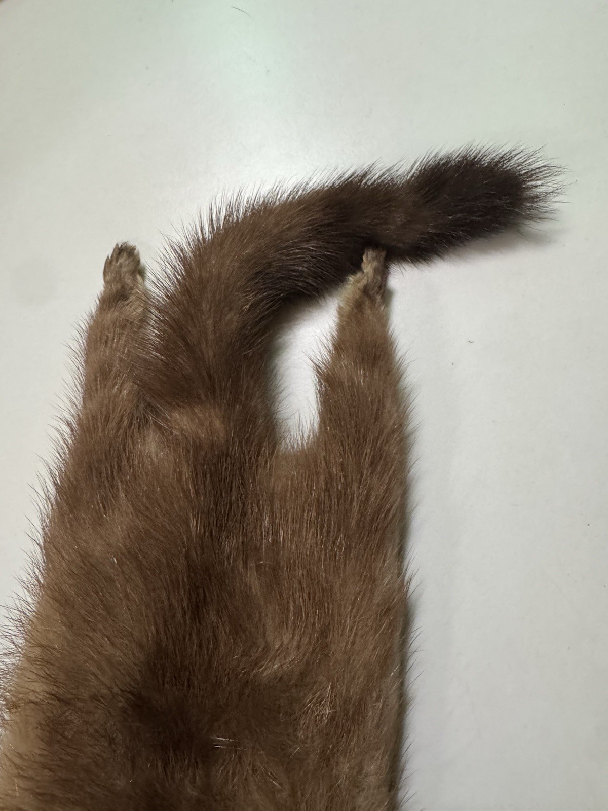 1930-40’s Mink stole Double Headed Clip On