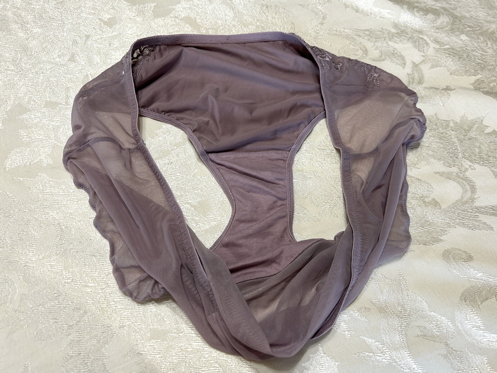 Vtg CACIQUE Second Skin Satin Embroidered Sheer Mesh 18/20 Brief Panties #162