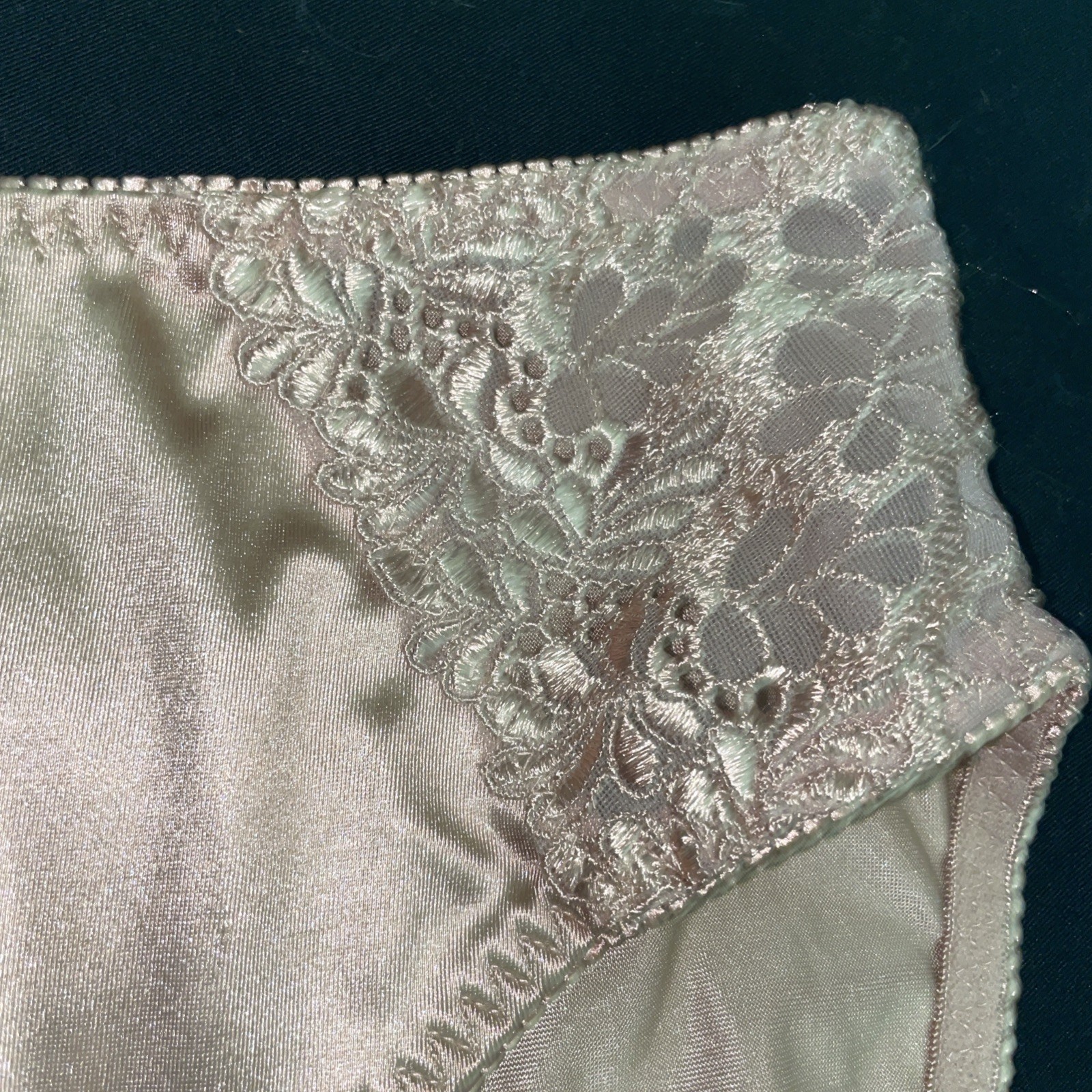 Delta Burke Panties Plus 10/3X Copper Glossy Satin Second Skin VTG hi-cut Sissy