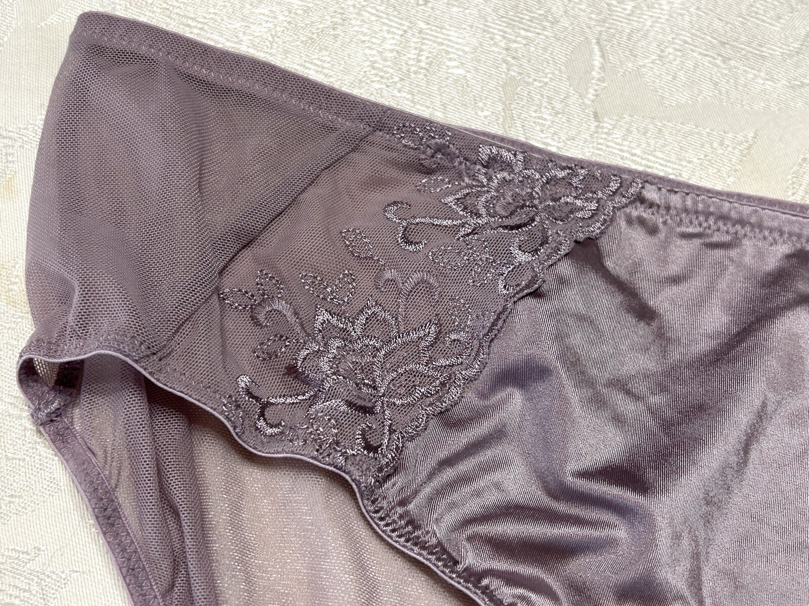 Vtg CACIQUE Second Skin Satin Embroidered Sheer Mesh 18/20 Brief Panties #162