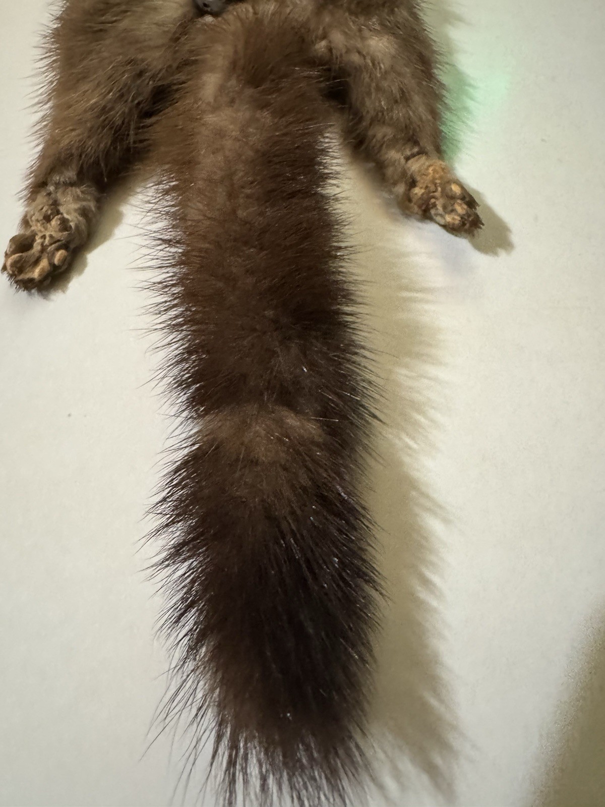 1930-40’s Mink stole Double Headed Clip On