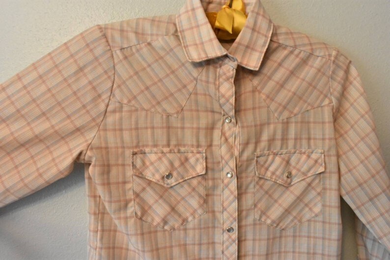 Vintage 80&rsquo;s PanTree Womens 9 – Brown Snap-Down Western Shirt