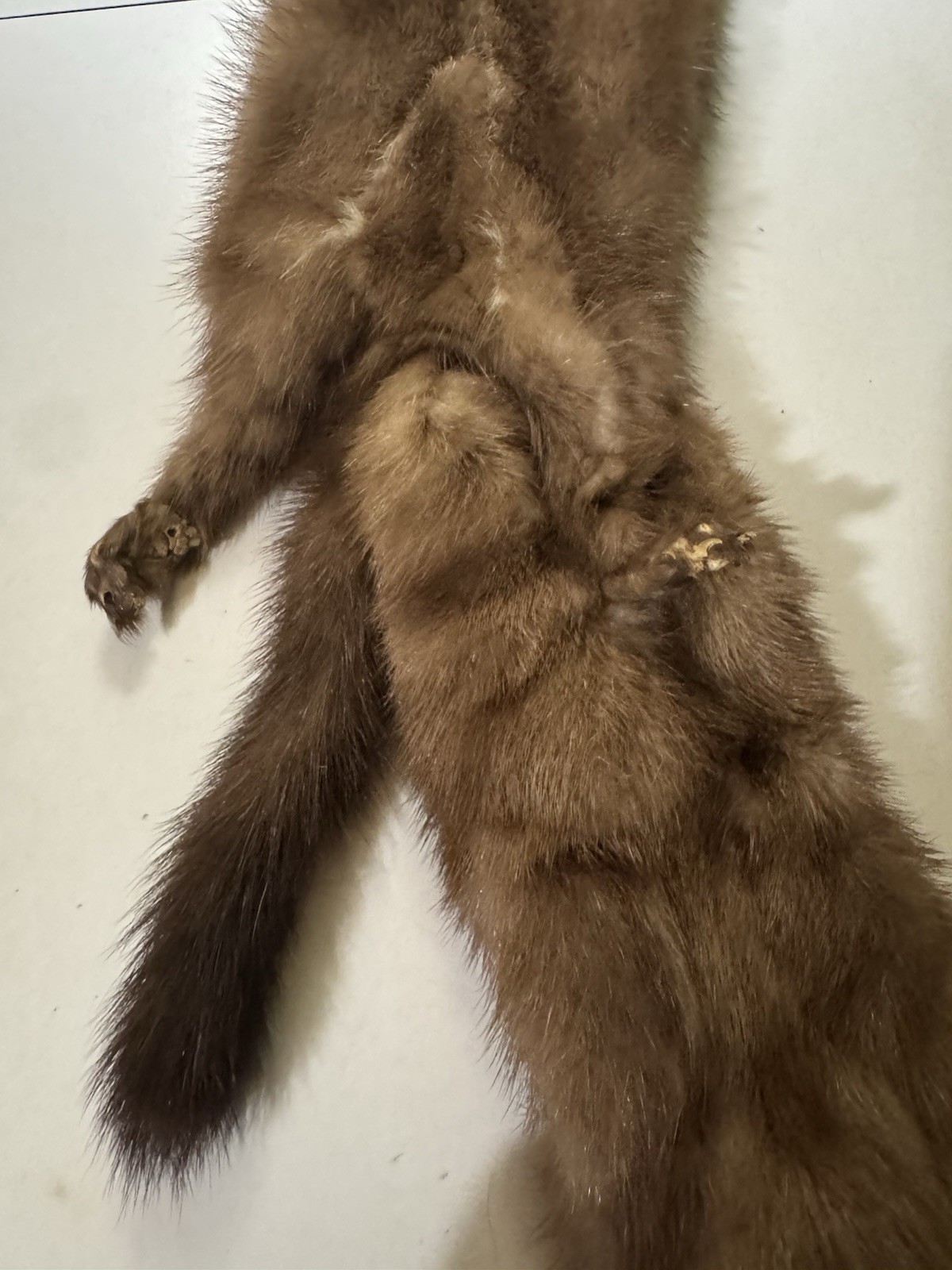 1930-40’s Mink stole Double Headed Clip On