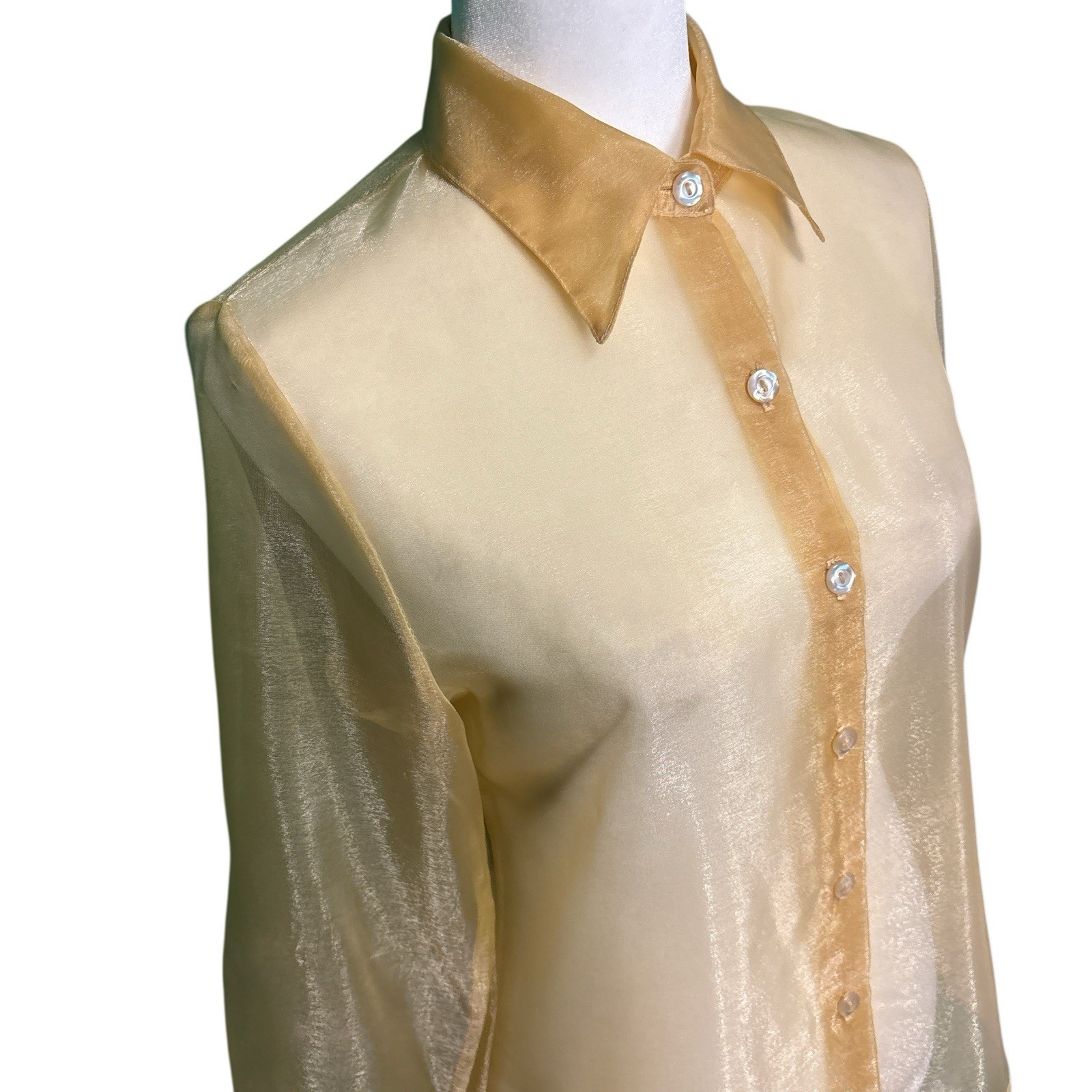 Vintage 90s Tiramisu Sheer Button Down Blouse