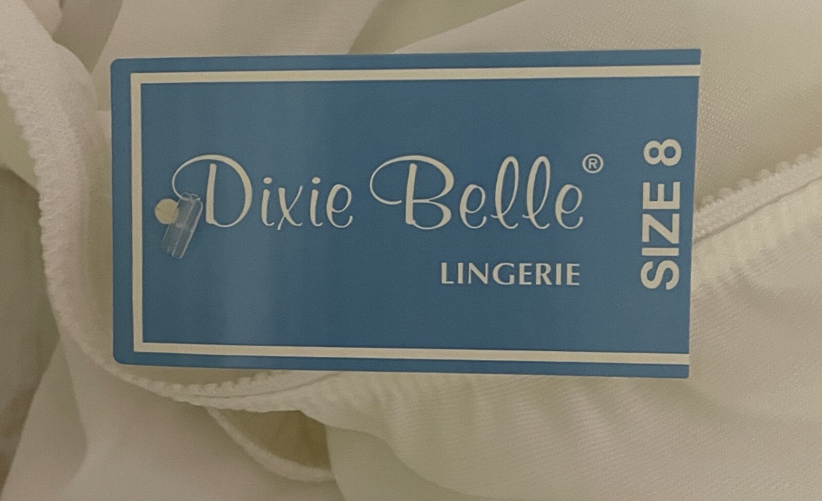 DIXIE BELLE White Mushroom Wide Gusset Nylon Granny Panties 8 Hips 41-43 NWT