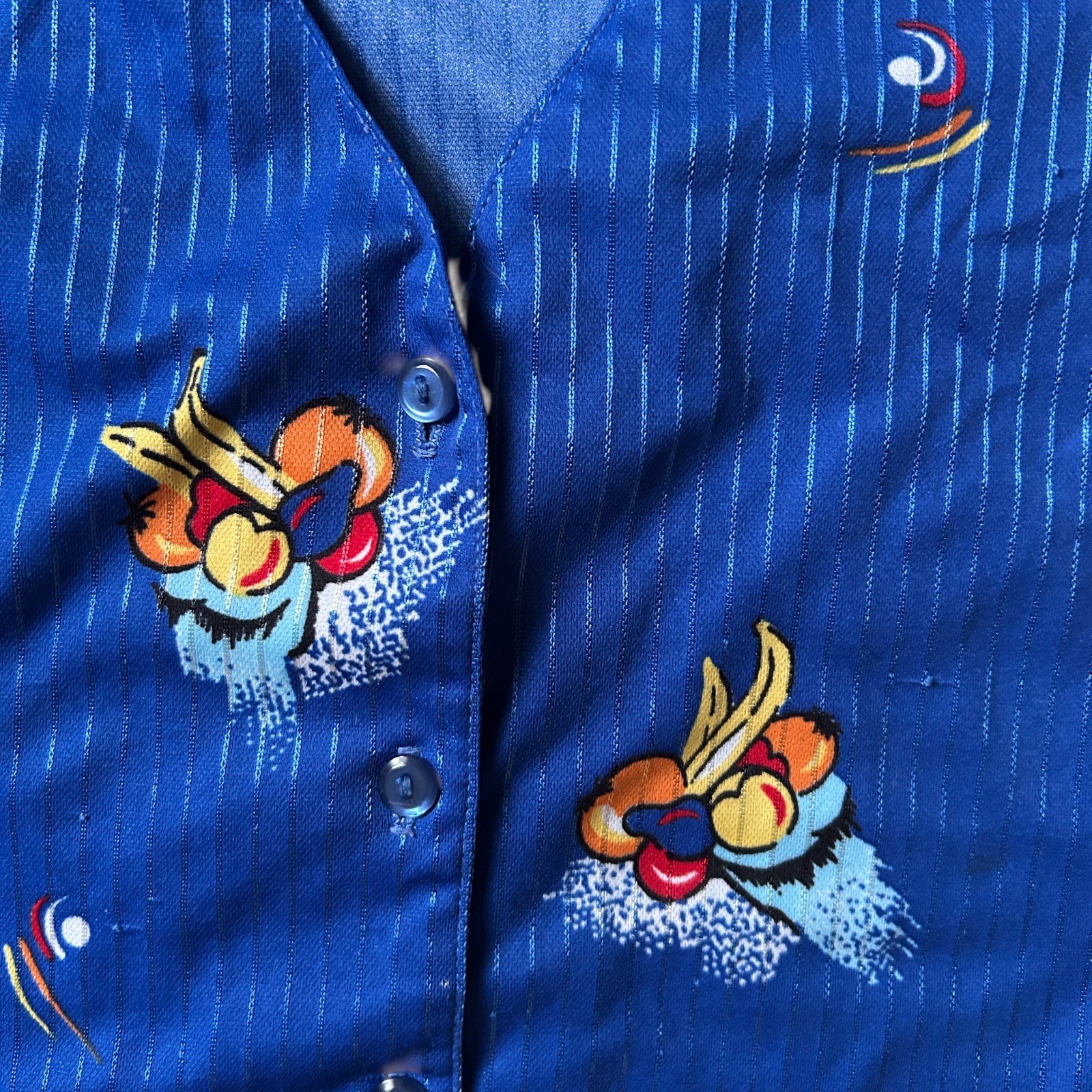 Alex Colman Sportswear Vintage Button-Up Blouse Blue Fruit Print Size Large L