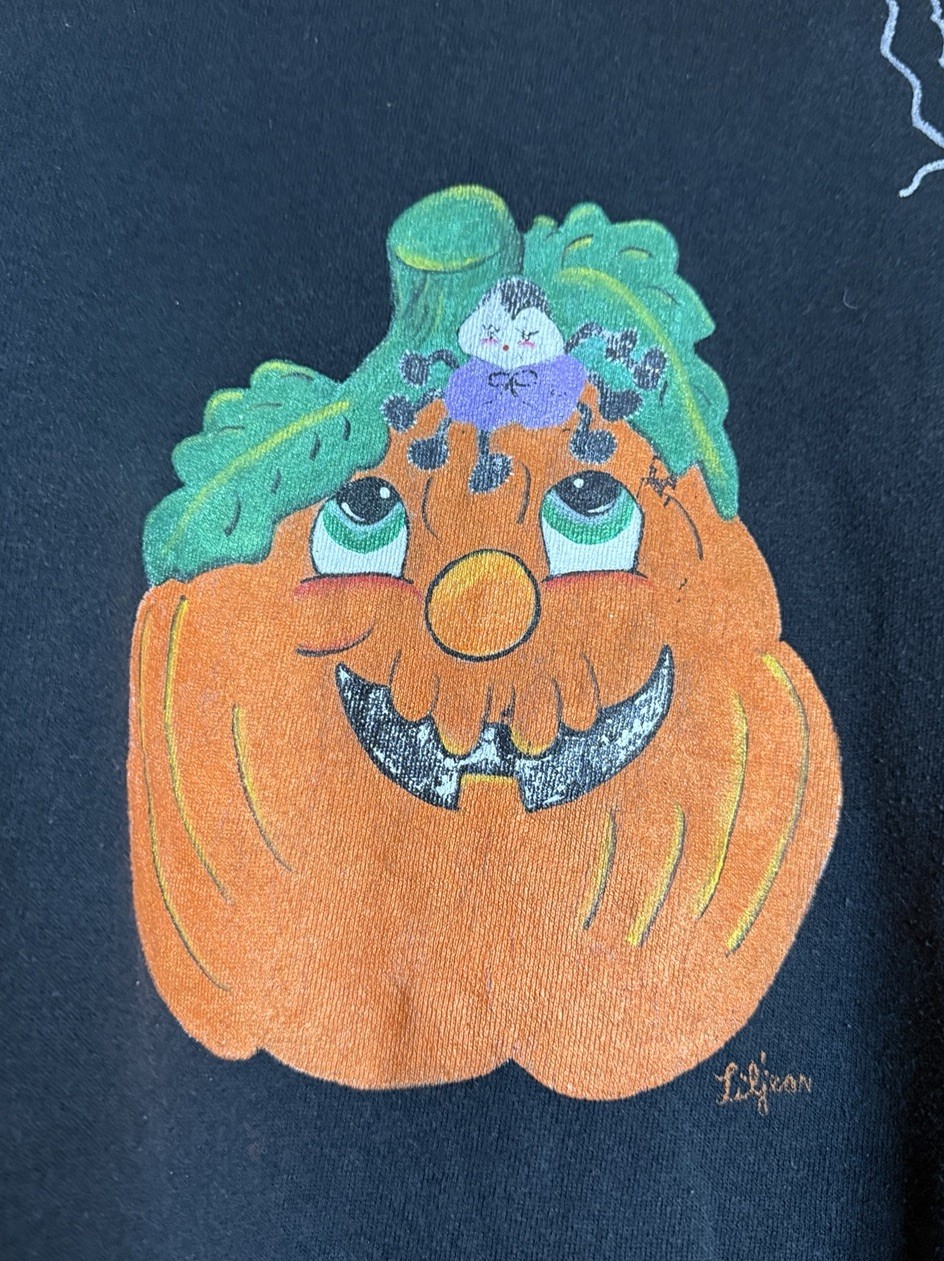 VTG Halloween Fall Pumpkin Spider Web Hand Painted XL Art To Wear USA Dopamine