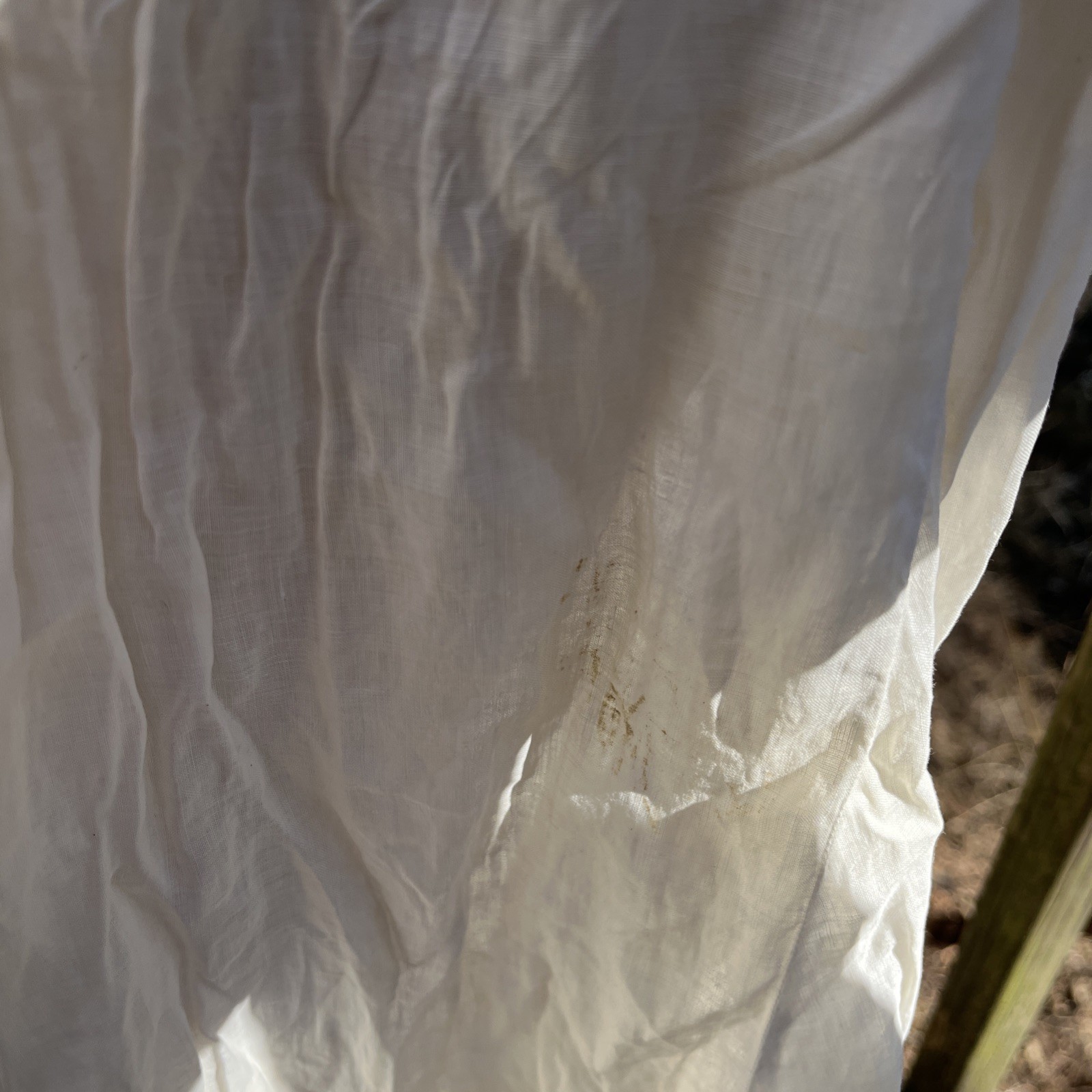 Authentic Edwardian Off White Cotton Lawn Dress c.1900 Lace Pintuck Button Back