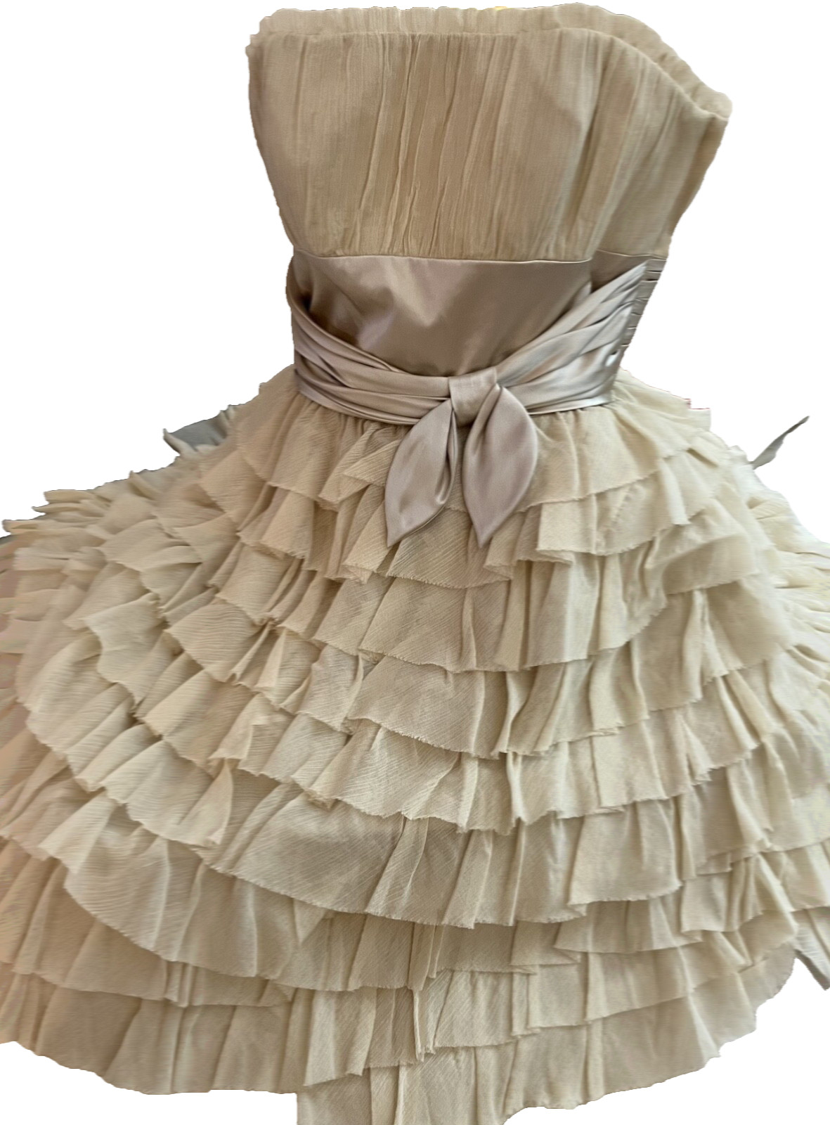 NWT Betsey Johnson Collection 2 Tea Dress Ivory Raw Silk Cotton Ruffles Tulle