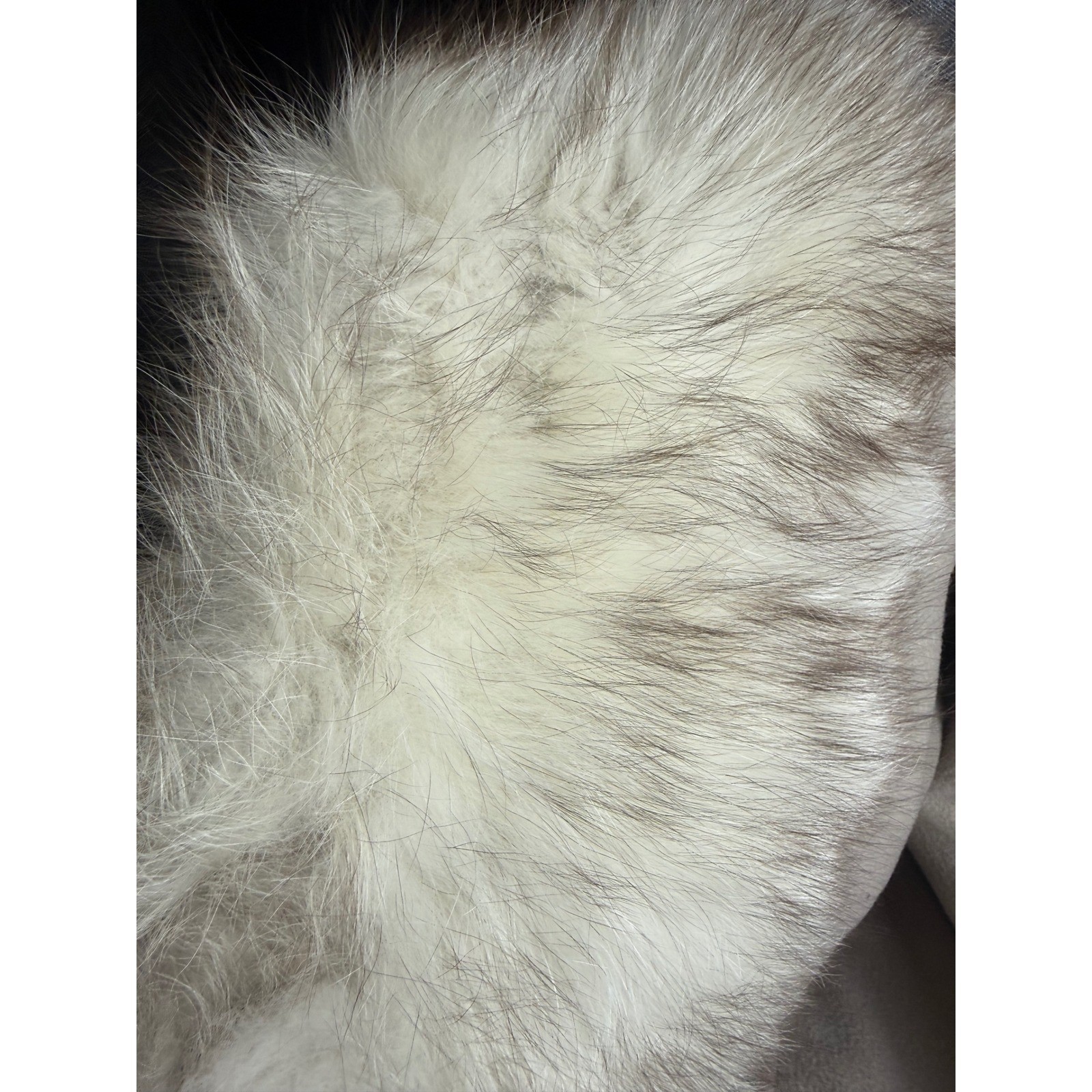 Vintage Wellesley Stevens Forstmann Wool Coat Faux Fur Collar Beige Long Jacket