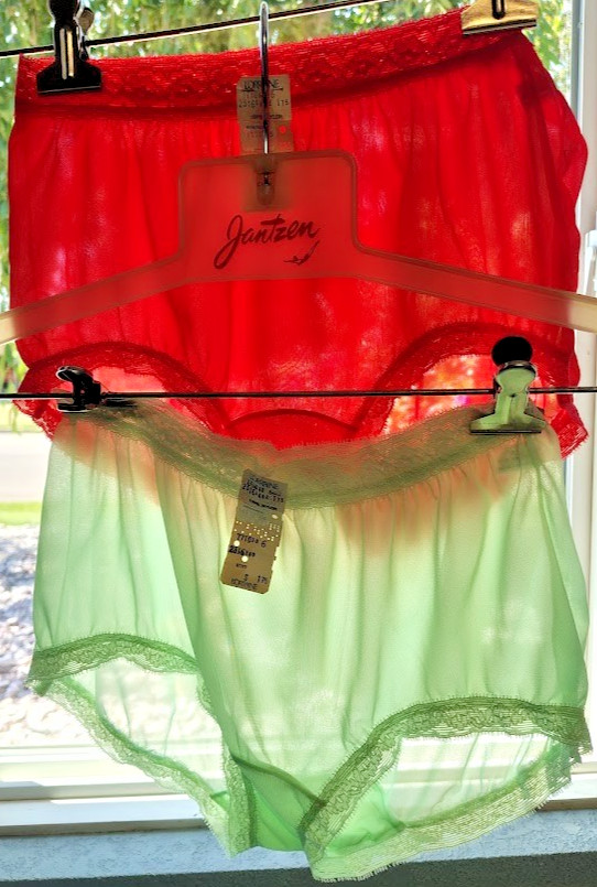 Vintage Lorraine Nylon Lace Mushroom Gusset Granny Panties Pair 6 M
