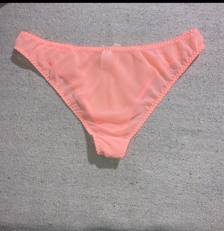Vintage Chiffon Sheer Peach Bikini High Cut Legs Sissy Lace Bow Panties M L New