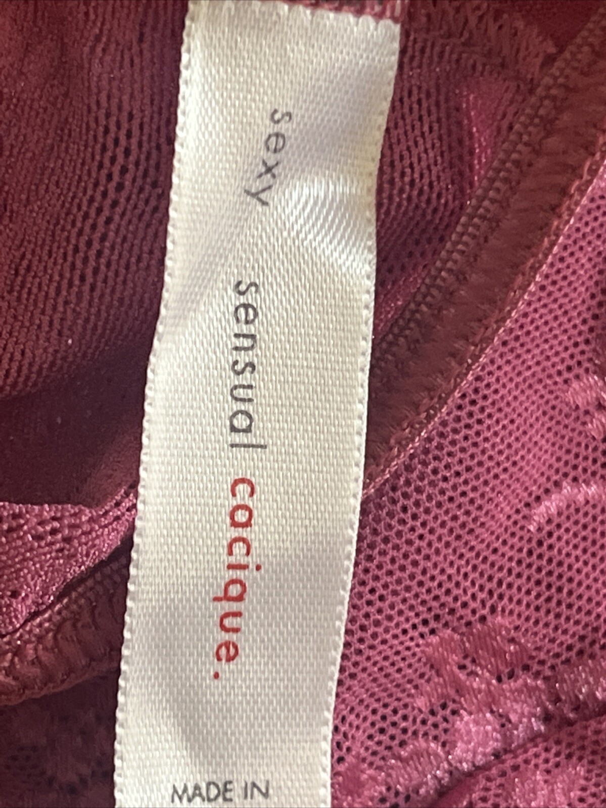 Vintage Lane Bryant Cacique 14/16 Second Skin High Leg Satin Lace Front Panty