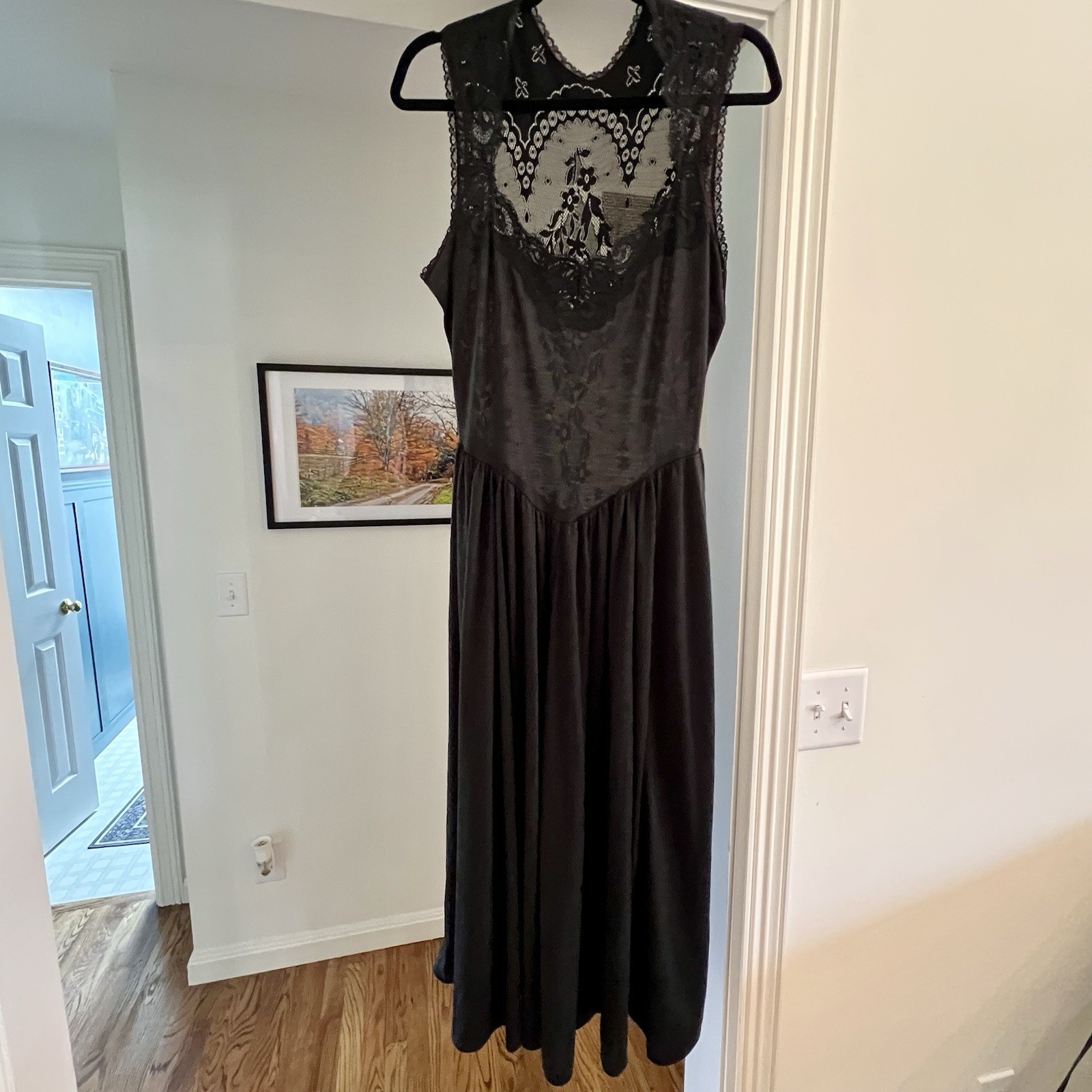 Vintage 80s Lady Cameo Dallas Whimsical Lace Dark Romantic Dress Sz Medium