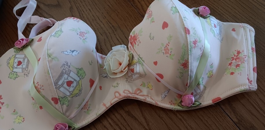 Hillard & Hanson 38D Intimates Coquette Romantic Feminine Rosette Balconette Bra