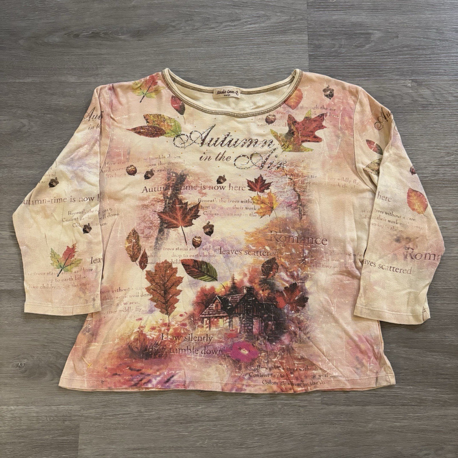 Vtg Y2k Fall Autumn In The Air Tee XL Womens Chic Graphic Colorful Cotton