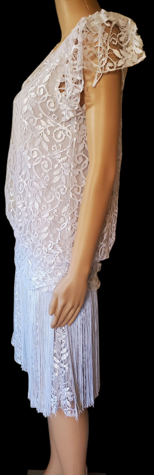 🍸VTG 80s Deco Revival Roaring 20s Flapper Shimmer Lace Fringe Drop Waist Dress