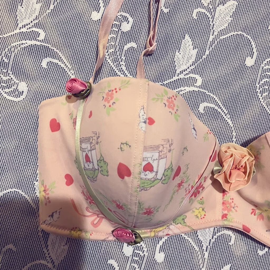 Hillard & Hanson 38D Intimates Coquette Romantic Feminine Rosette Balconette Bra