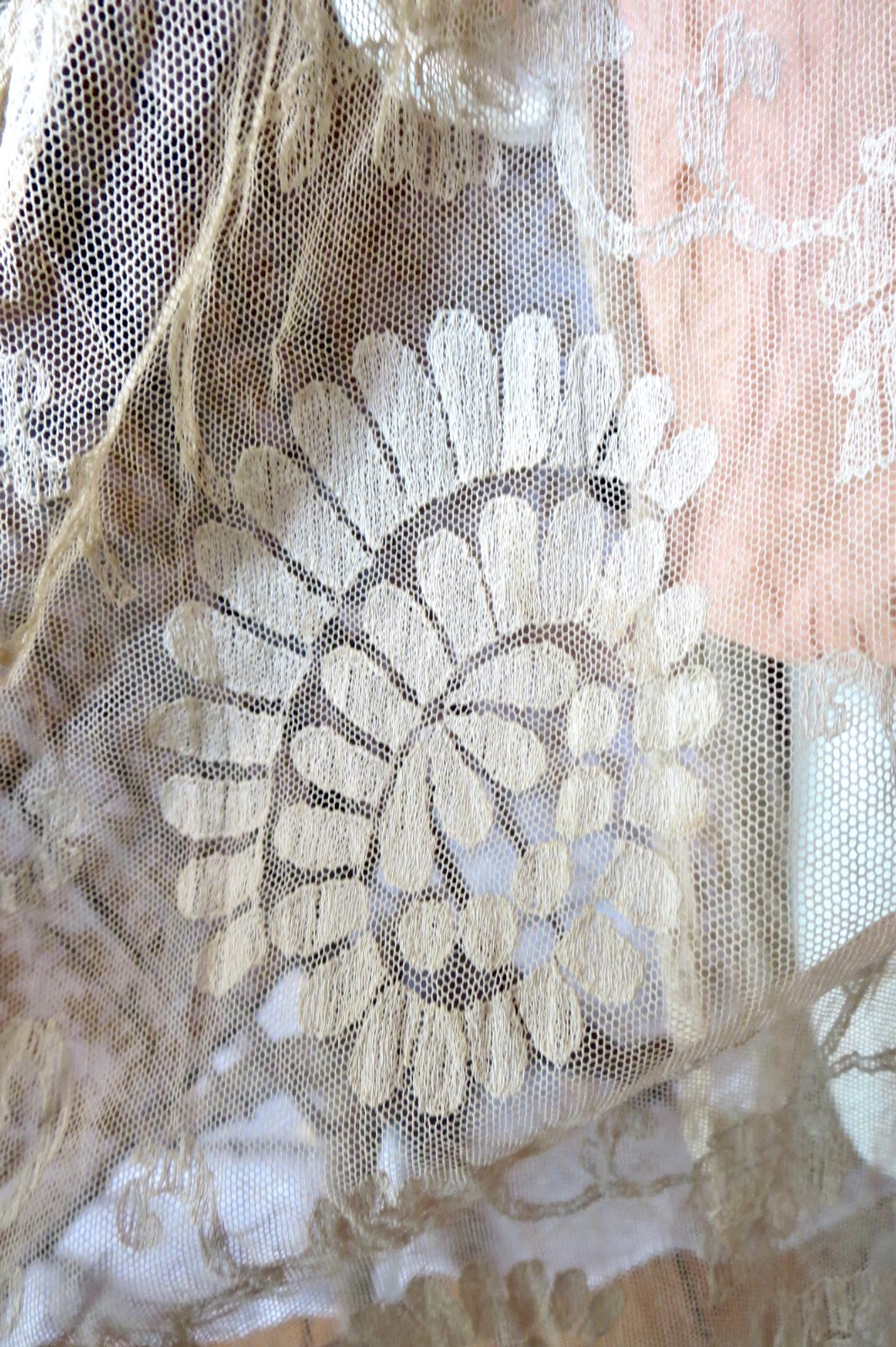 1920s Antique Filet Lace & Devore Silk Flapper Gown Ecru and Peach 35 Bust