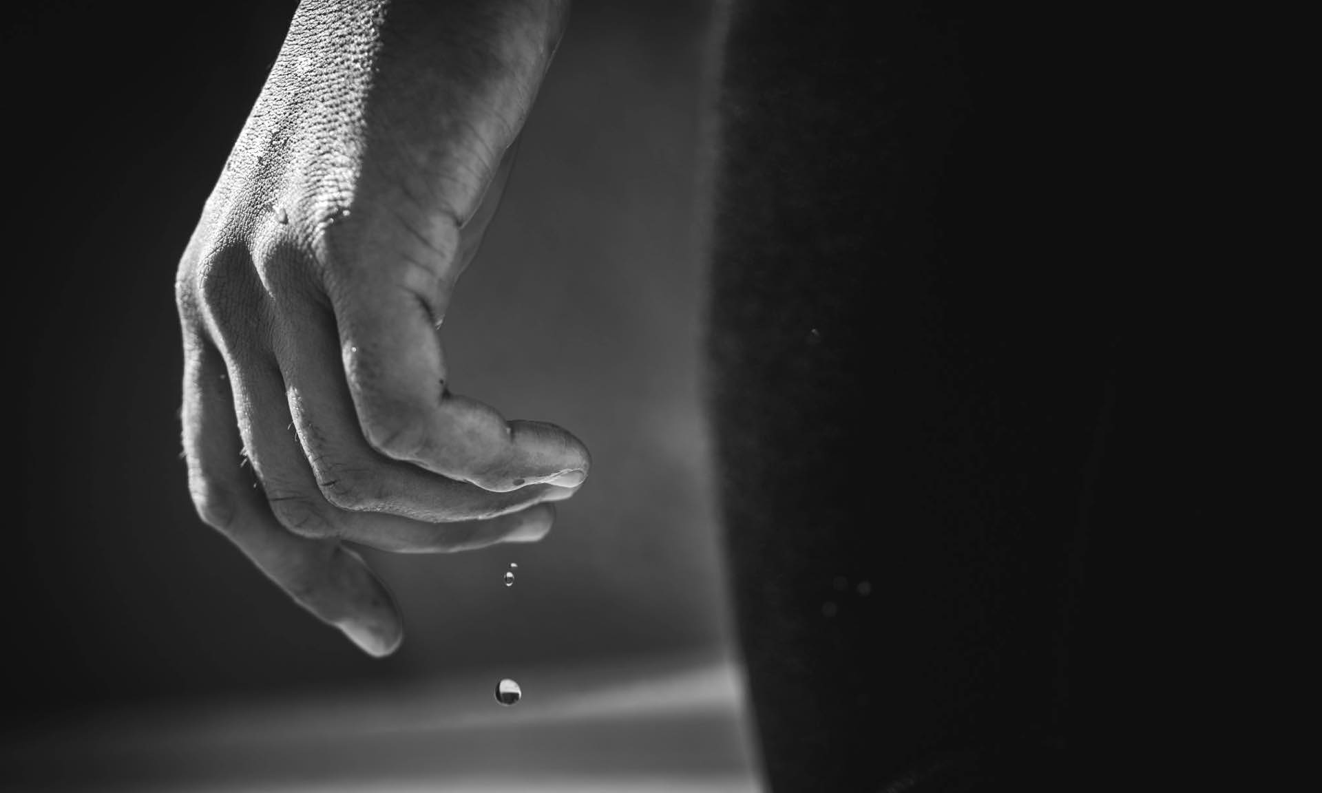 créatures